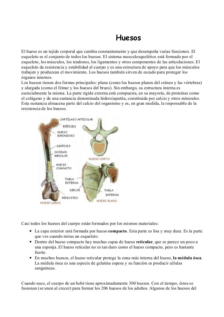 huesos anchos adelgazar con huesos anchos adelgazar con